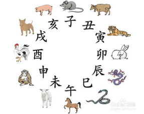 1）先看年份与生肖