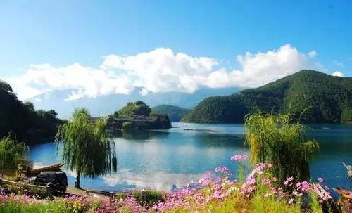 峨眉山的春日狂想曲：一场迟来的花事