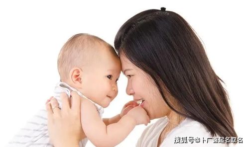 来来来堪堪这个对比表格你就懂了
