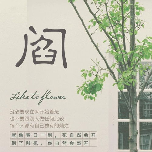 更进一步的“创意”