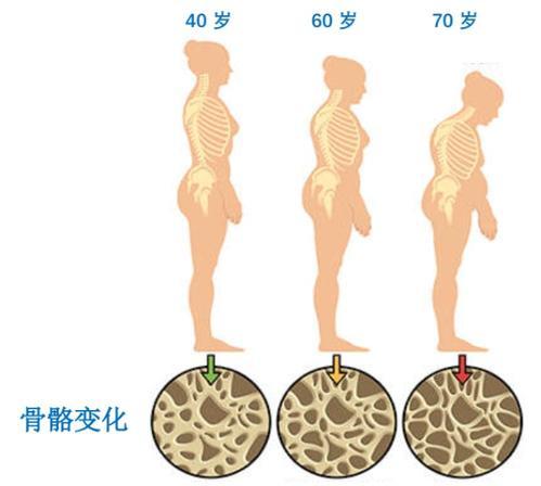 M组：降压药怎样作用于月经？