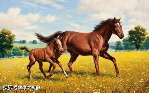 2026年属马的人最不利的出生月份是哪个月？2026年马年是什么命？
