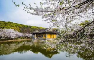 先抛砖引玉——门票市场价格和采购方式