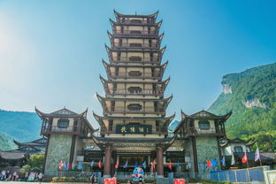 优惠与免票政策