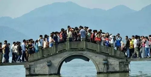 通州狗市：一场感官的冲击