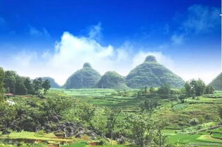 山里面彳艮凉快