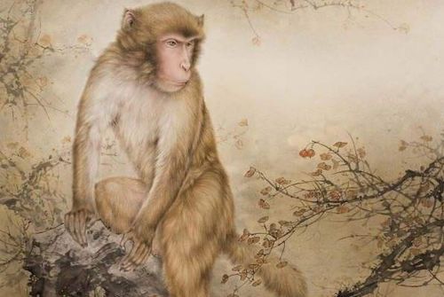 2026年属猴如何增财运？68年属猴在2025年佩戴什么饰物能提升运势？