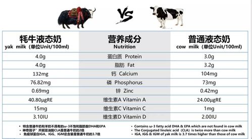进阶版：加入一点点“反差萌”