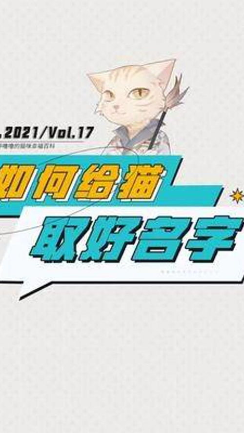 四、 灵感来源——从日常到经典再到今后