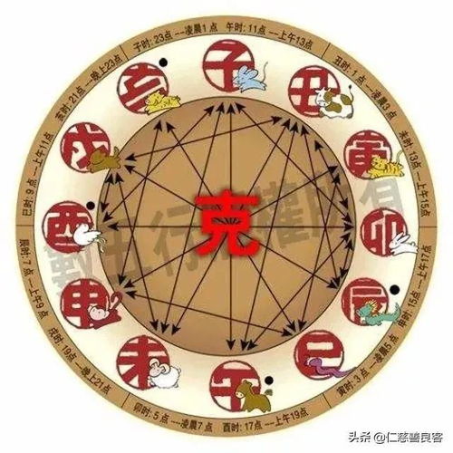 哪个生肖与孔雀相生，又与哪个生肖相克呢？