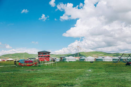 出发前：一场大型行为艺术