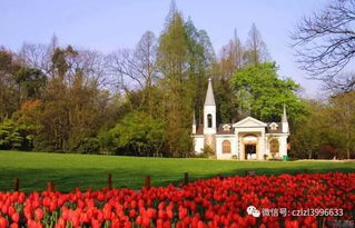 太子湾：花好堪吗？蚊子梗多！