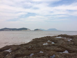 松兰山？东岙沙滩？到底哪个才是真·宝藏?