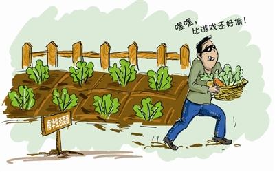 梦见偷菜预示着什么含义？