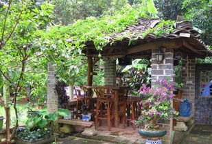 第三章：娱乐项目笑到你头掉