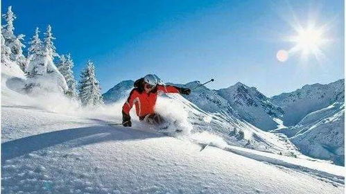 卧虎山Skiing Skiing Skiing...