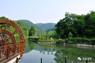 二、 探秘江南秘境——宝华山的奇幻之旅