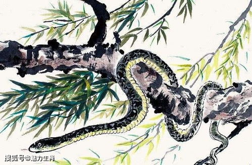 如何根据生辰八字算出蛇年出生者的四大贵人及六个贵人？