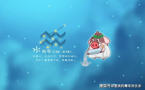 双鱼男：行走的琼瑶剧男主角