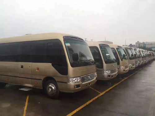 市场价格透明， 让你放心租车