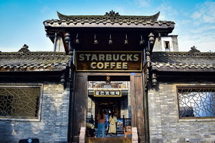宽窄巷子：网红打卡地