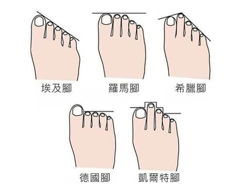 足弓：决定命运的关键