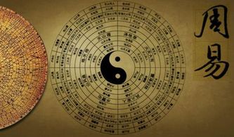 八字中带有金星的人命运如何？代表什么命格？