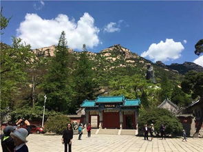 第二站：泰安——泰山真的很高