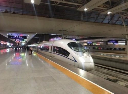 旅行业持续发展策略：玩转“旅行+”模式