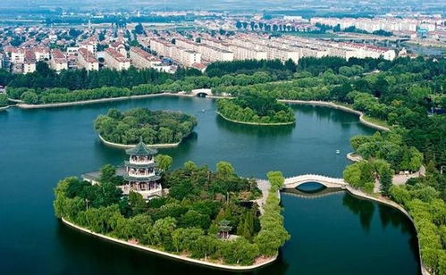 月湖公园 - 不如你家小区花园