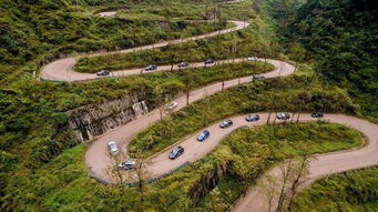九龙山：道教文化底蕴的摇篮？