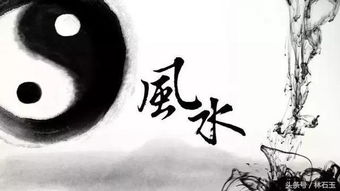 往哪儿搁最招笑？