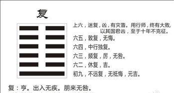 2026年大预言！这些星座生肖要倒大霉了！