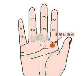 水星丘手相图和木星丘手相图片大全分别有哪些？