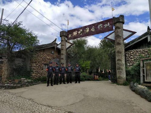 深入挖掘：顺和社区的每一个角落都藏着故事（或者事故）