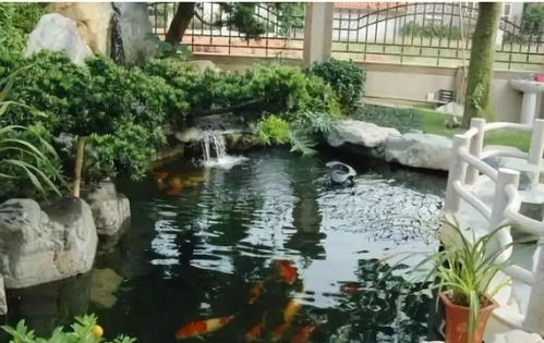 五、水质维护：脏就脏吧