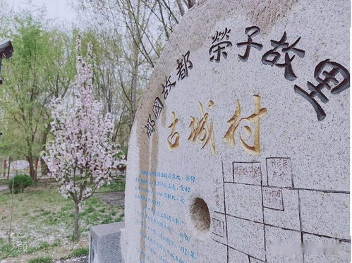 历史持续发展与天然的双沉重体验