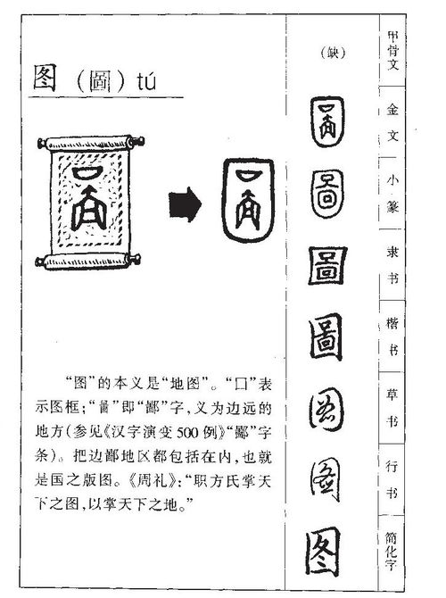 木—五行中的绿色生命力（木）*1*