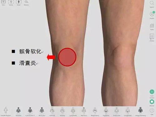八字骨下方疼痛，膝盖下方骨酸痛，这是怎么回事呢？