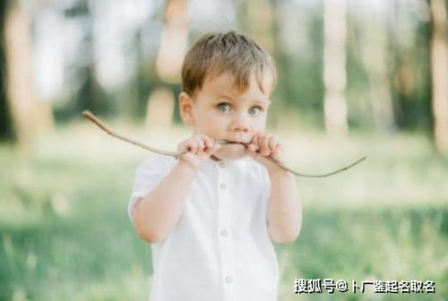 一、 生肖星座与风水的奇妙交织——不按套路出牌