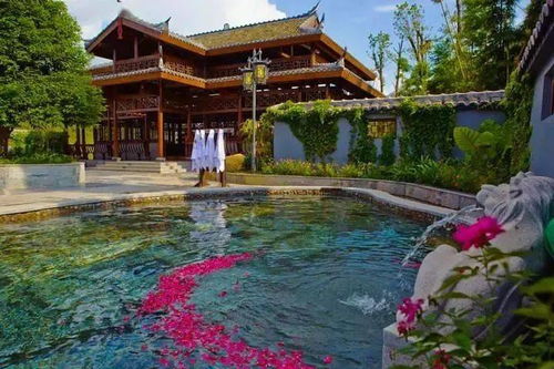 三、 特色温泉，身体健康状况养生