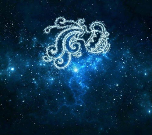 脑子进水还是装了个宇宙？