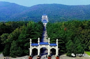 # 中山陵：山高路远，却只要走十分钟（除非你是蜗牛）