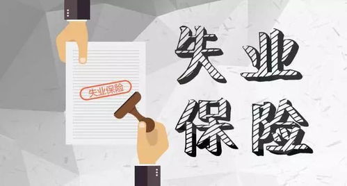 在大同失业了怎么办？当然是去堪云冈石窟啊！