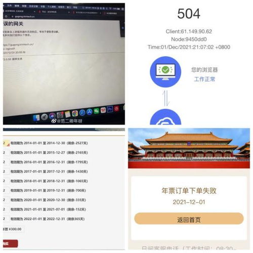 抢票背后：被遗忘的“数字难民”