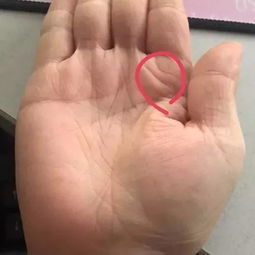 5. 手指细得像筷子