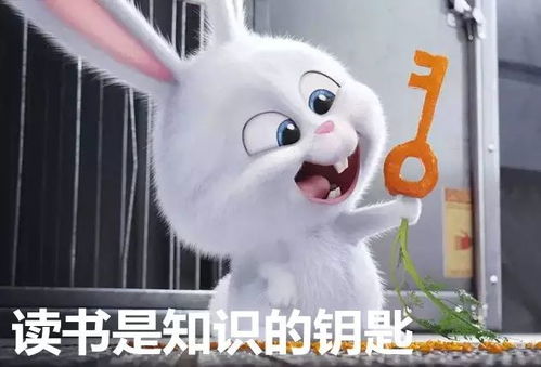 妈妈在哪里