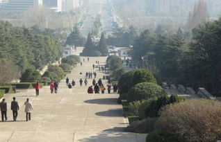 包公园：大型上当现场