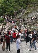 一场奔赴山海的亲子自驾之旅，从繁华的上海出发？