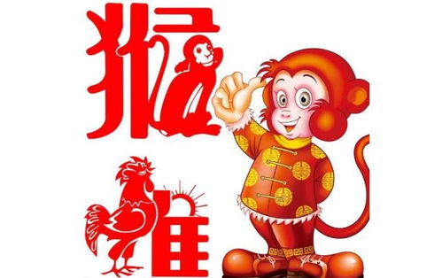猴和鸡属相相配吗？这样的婚姻组合会幸福吗？